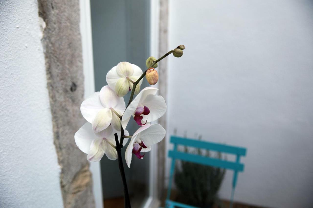 Santo Amaro'S House Apartman Lisboa Kültér fotó